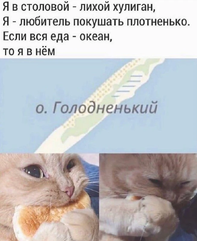 Мемы каждый день • Подписаться