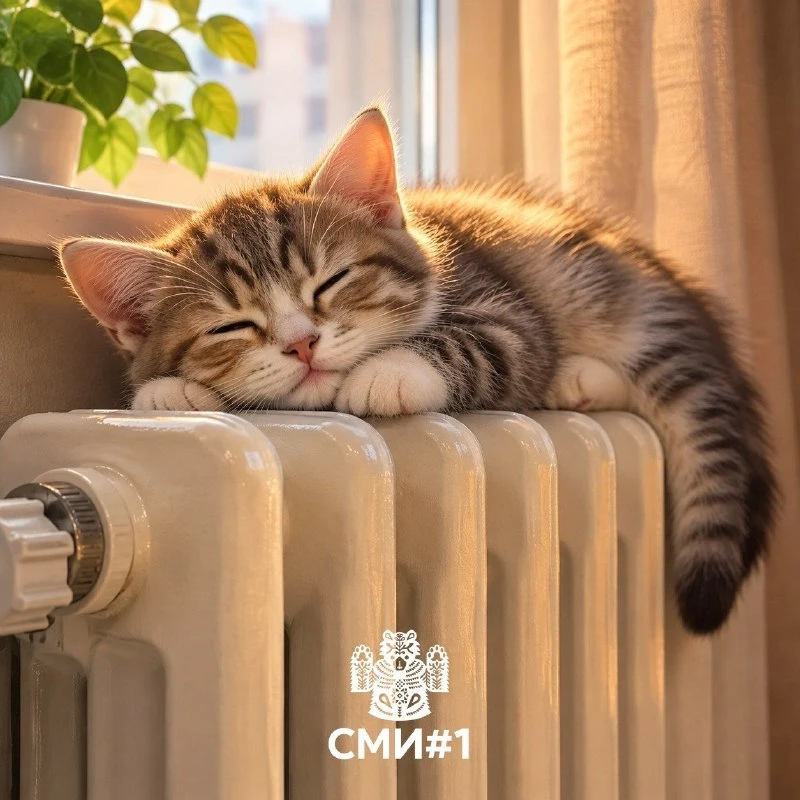 🏠 Отопление в Саранске начнут включать 5 октября