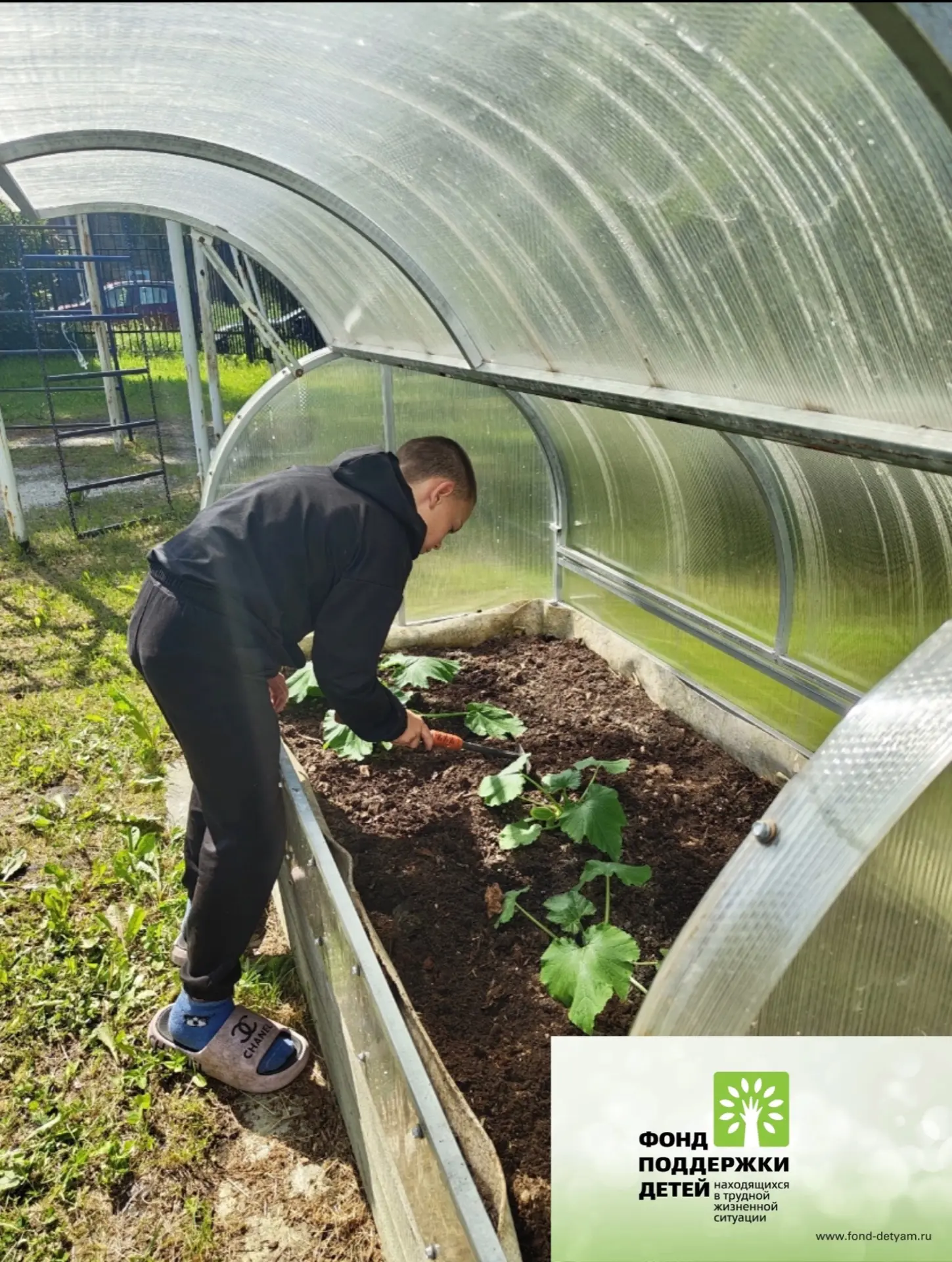 🌱 Хороший уход за растениями — залог богатого урожая! 
 
 Наши ребята из стационарного отделения Це