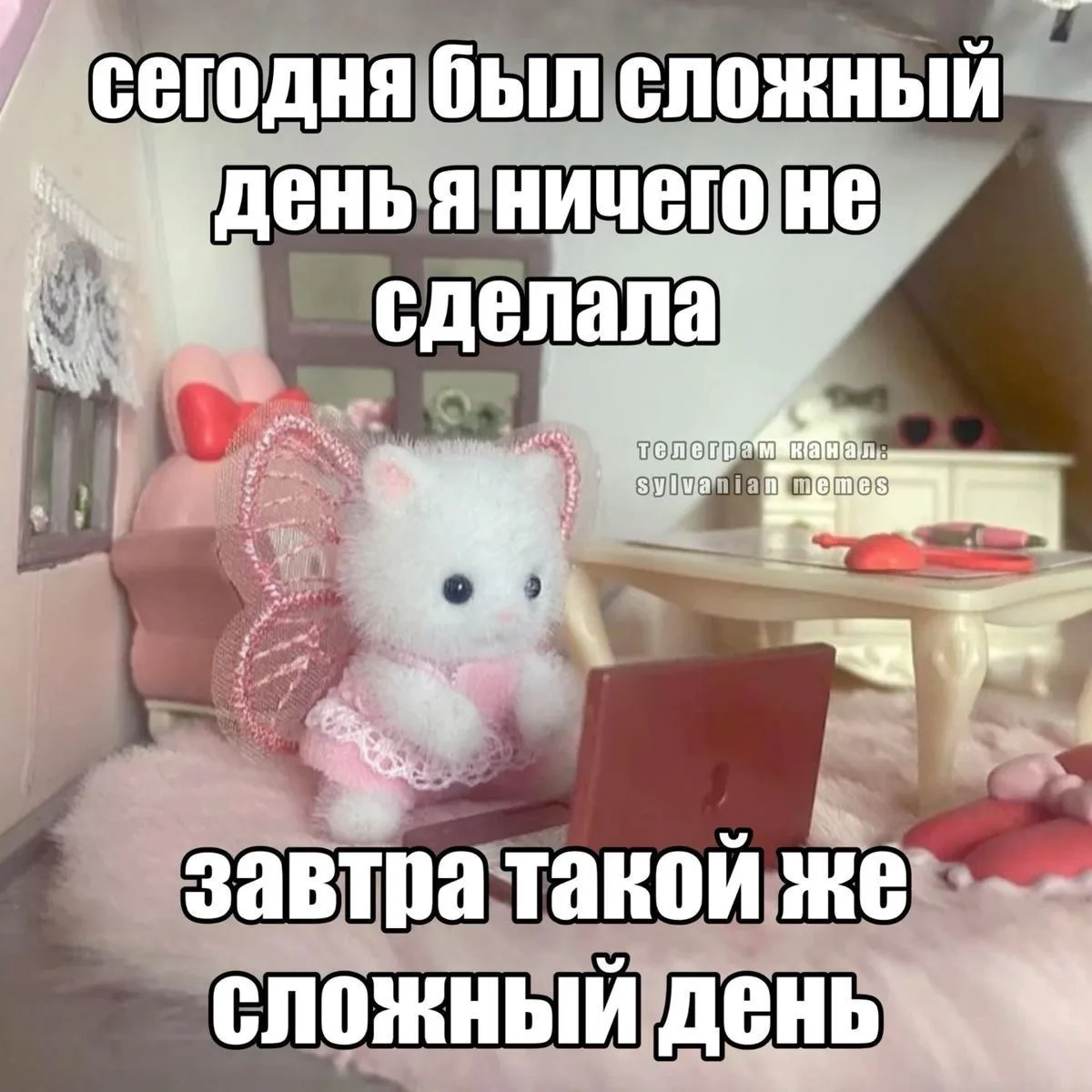 Муд дня