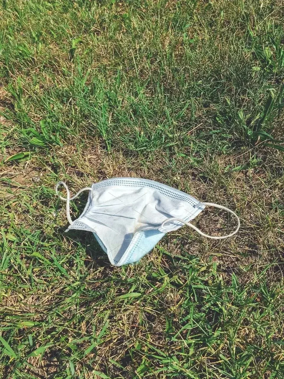 ⚡️ В двух районах Воронежской области ввели карантин по бешенству
