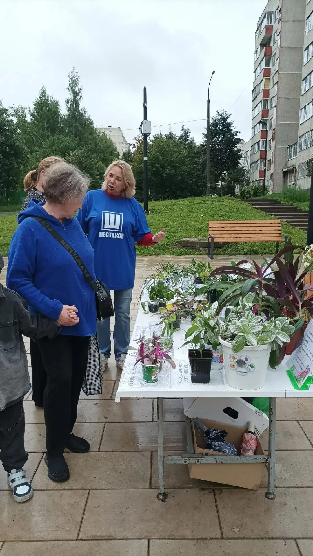 «Из рук в руки — цветы в добрые руки»: добрая акция для жителей микрорайона