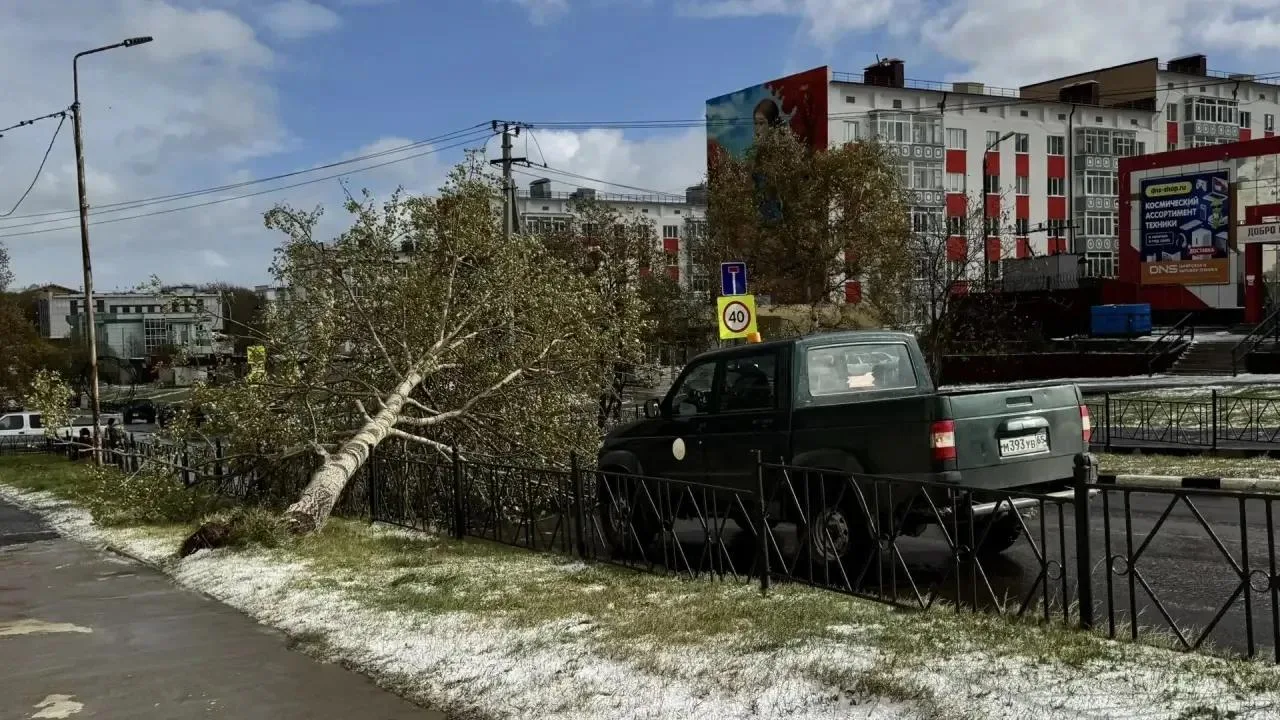 Первая метель сезона накрыла Охинский район: ветер валит деревья