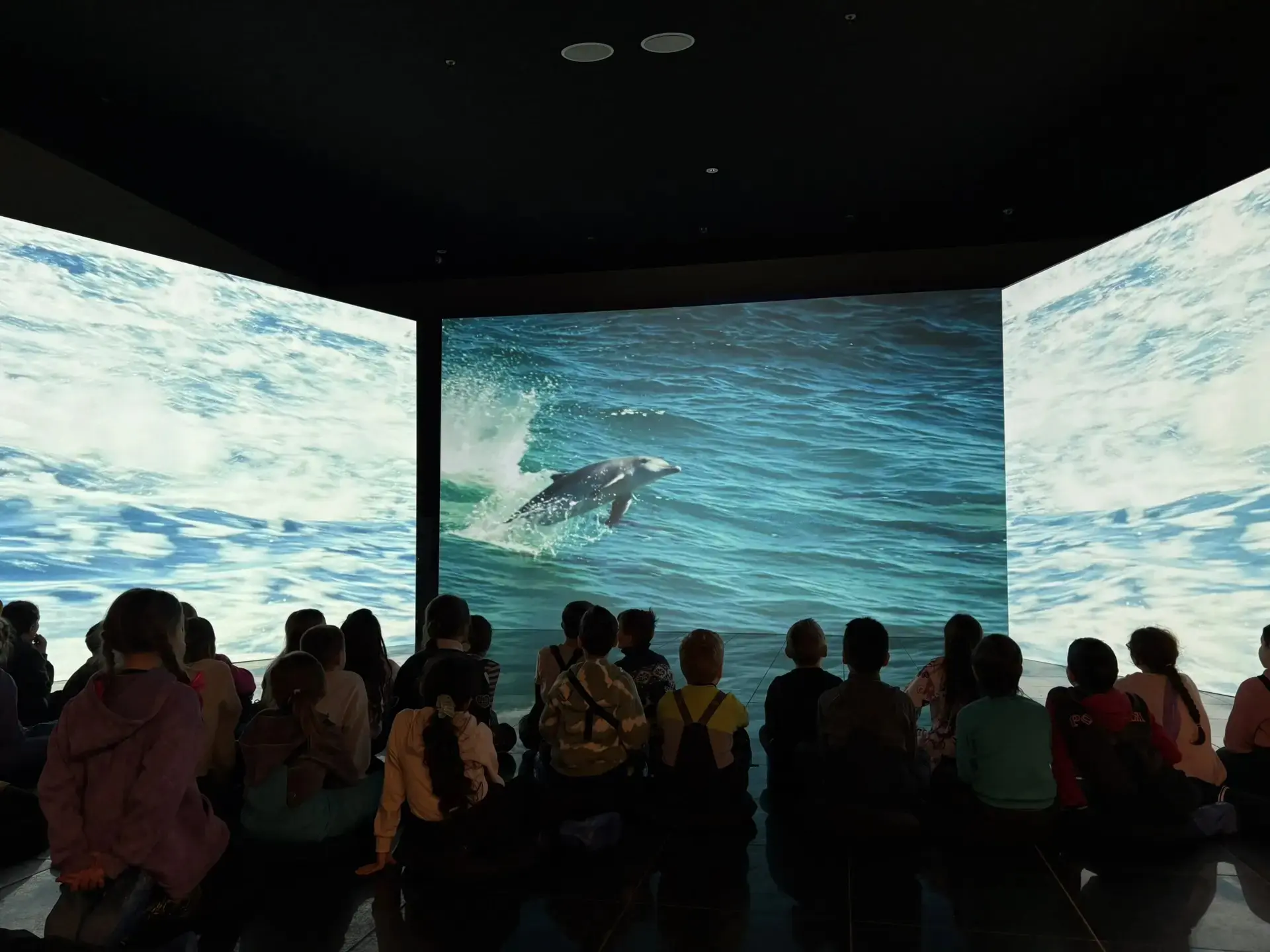 2В класс 5 февраля посетил музей «Вселенная воды».  Музей представляет собой мультимедийные технолог