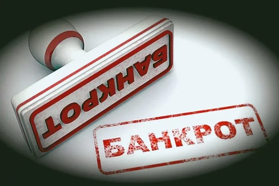 Реформа законодательства о банкротстве: переход от ликвидационной модели к реабилитационной

Вступив