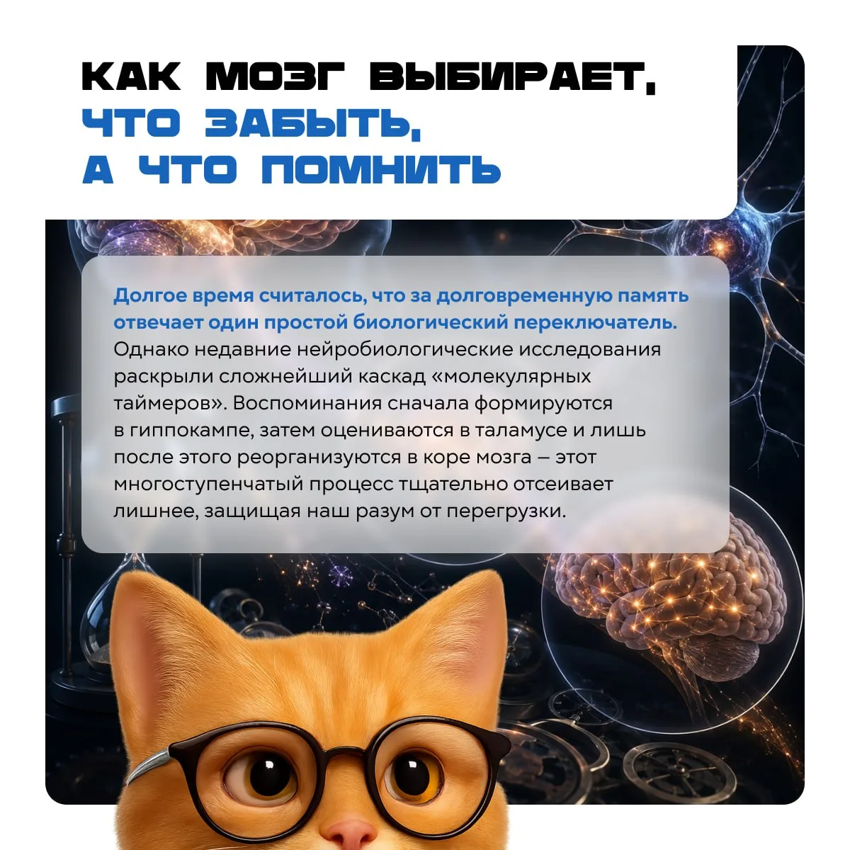 Будущее уже ближе, чем кажется.

Мозг сам решает, какие воспоминания оставить. Батареи работают на р