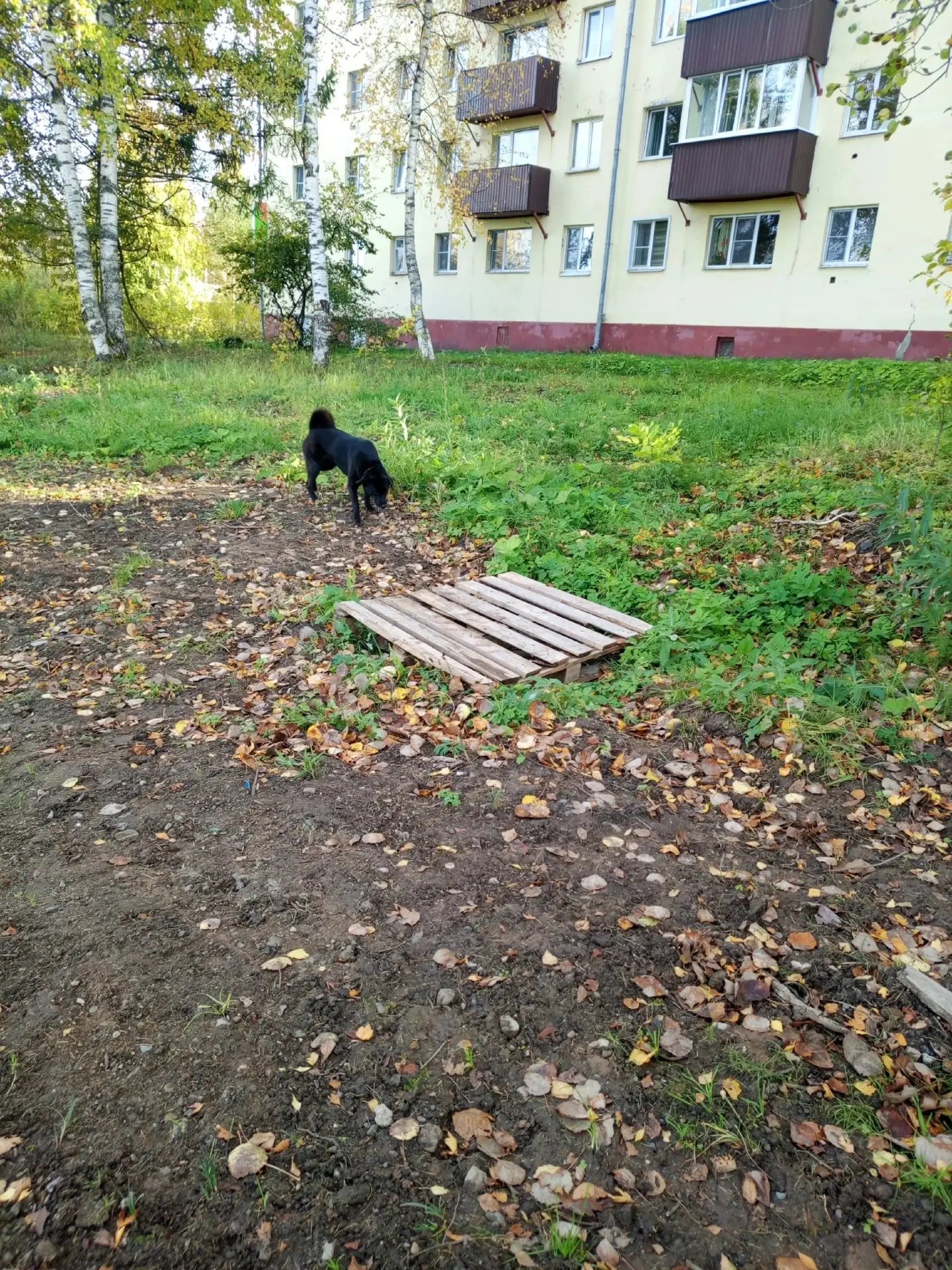 #Вологжане_пишут