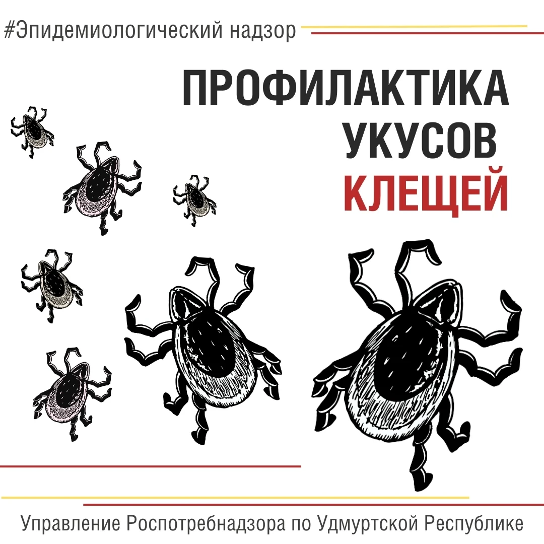 🕷В Удмуртии с начала 2026 года зарегистрировано 10 273 случая присасывания клещей 
🕷Наиболее высок