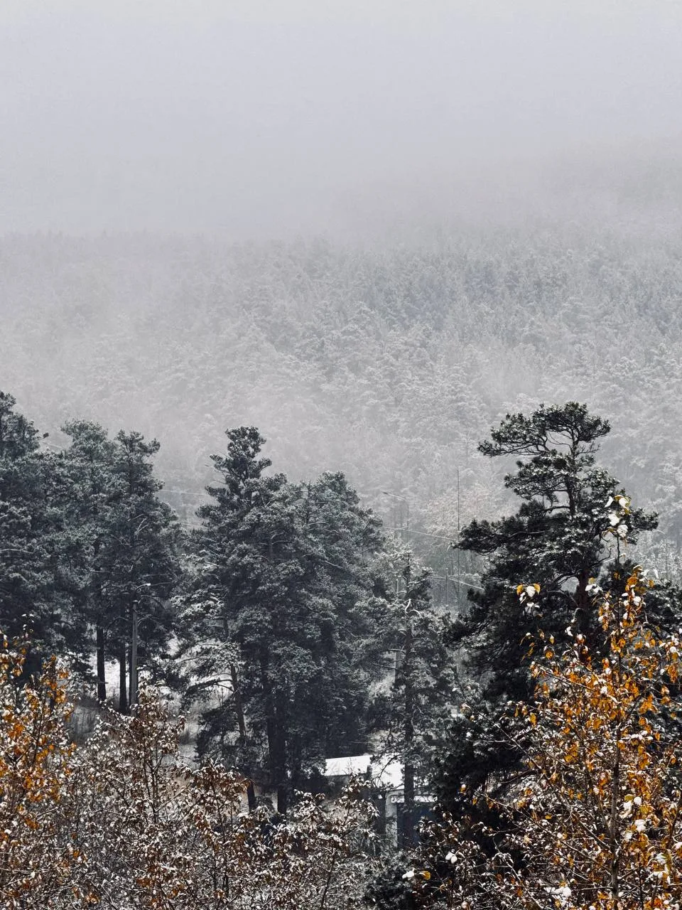 Сопки в Чите уже покрыло снегом ❄️