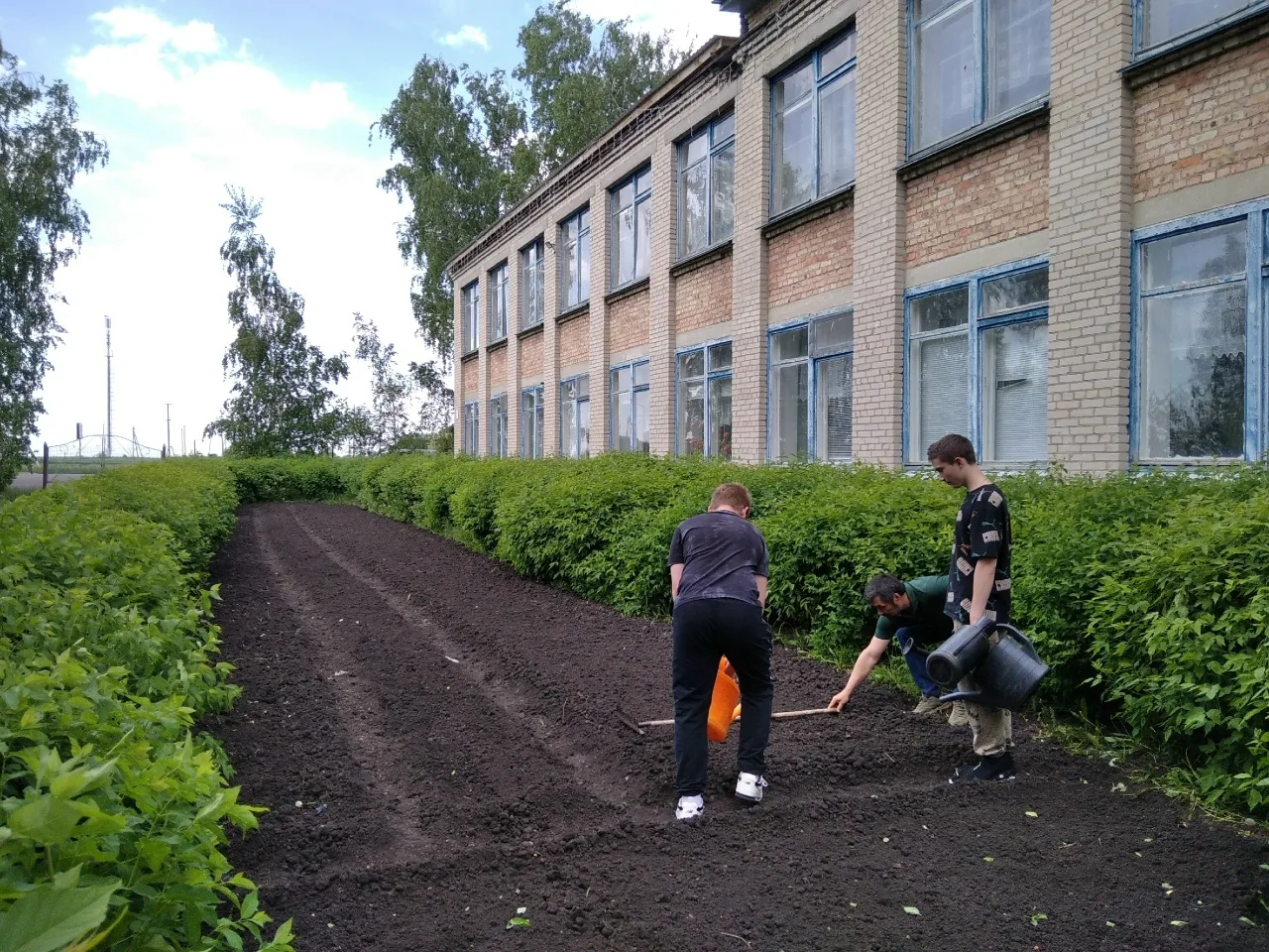 🌱 А вы всё успели посеять и высадить в огороде?