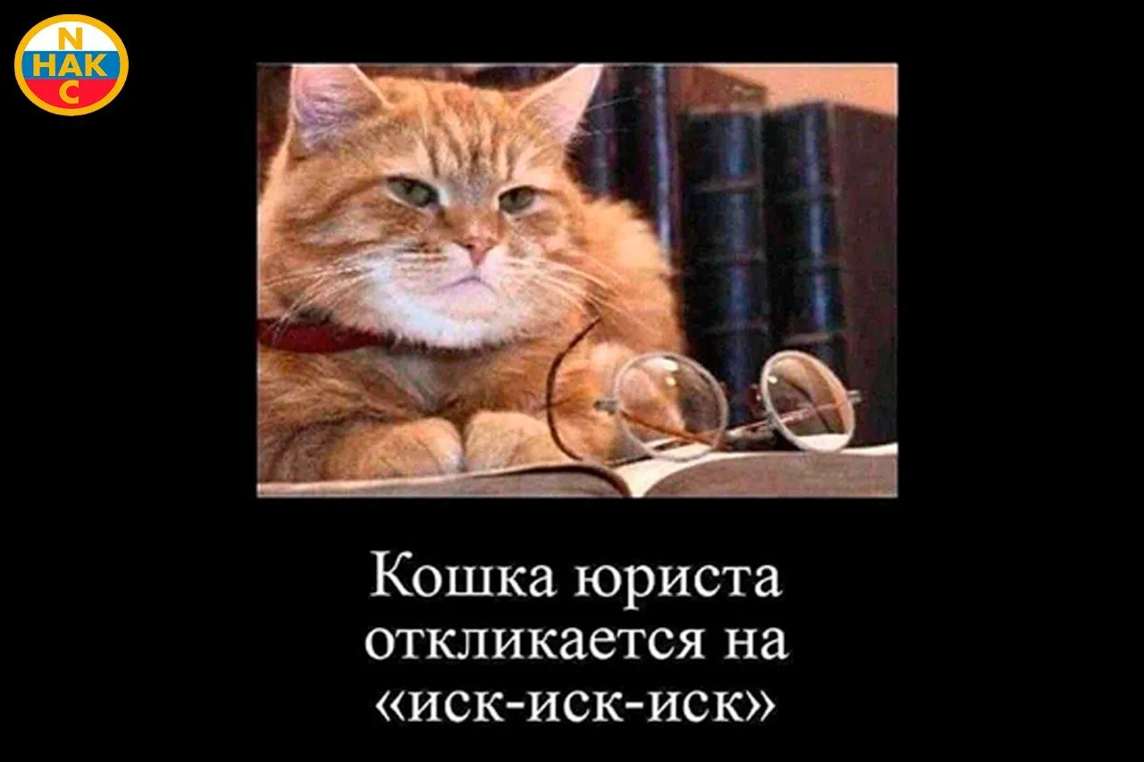 🐈 Как кошка чует беду, так и комплаенс-система фиксирует любое нарушение. Игнорировани...
