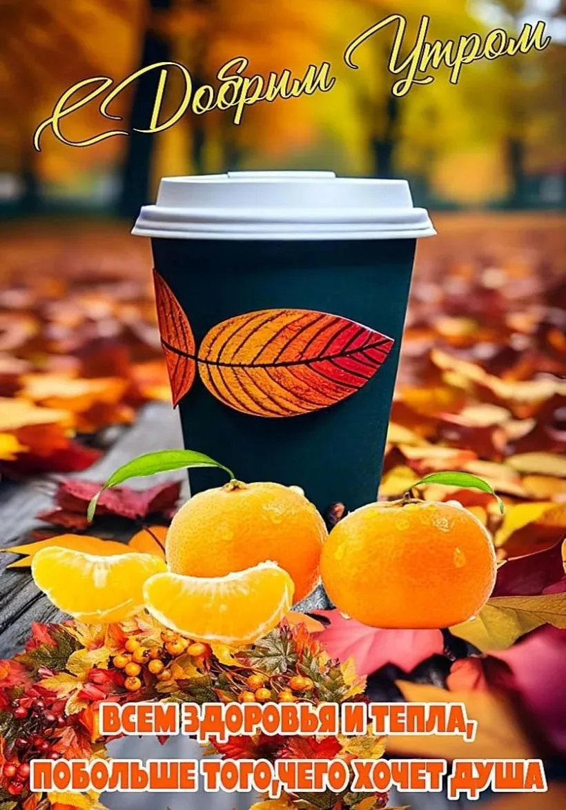 Подписаться 🍁