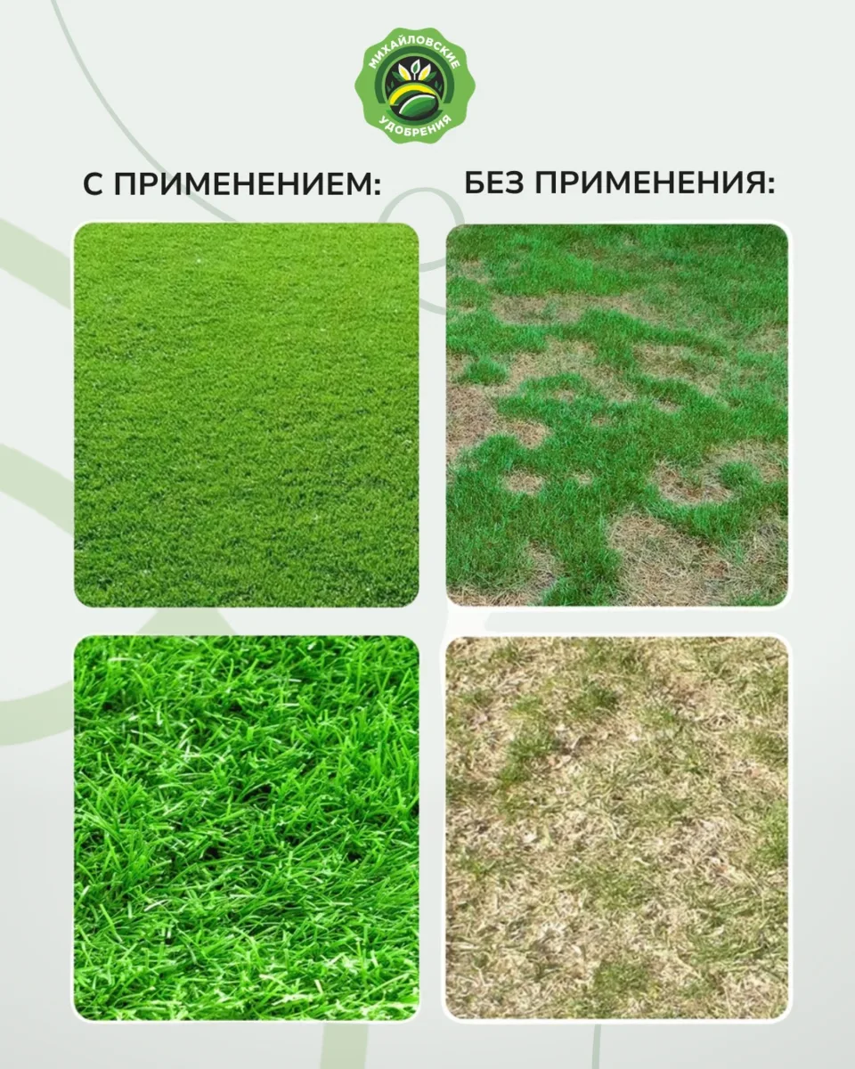 🌿 Почему одни растения растут крепкими, а другие постоянно болеют?

Секрет — в сильном иммунитете