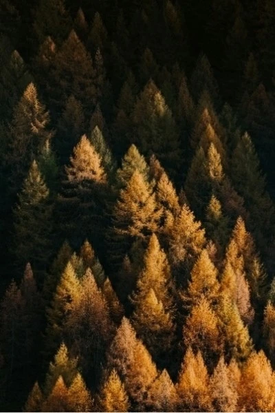 Душа требует такого отдыха💚