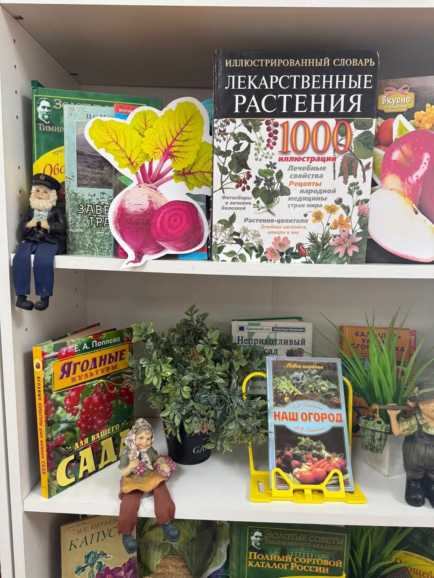В библиотеке мкр.Шелковый комбинат организованна книжная выставка для садоводов — огородников с множ