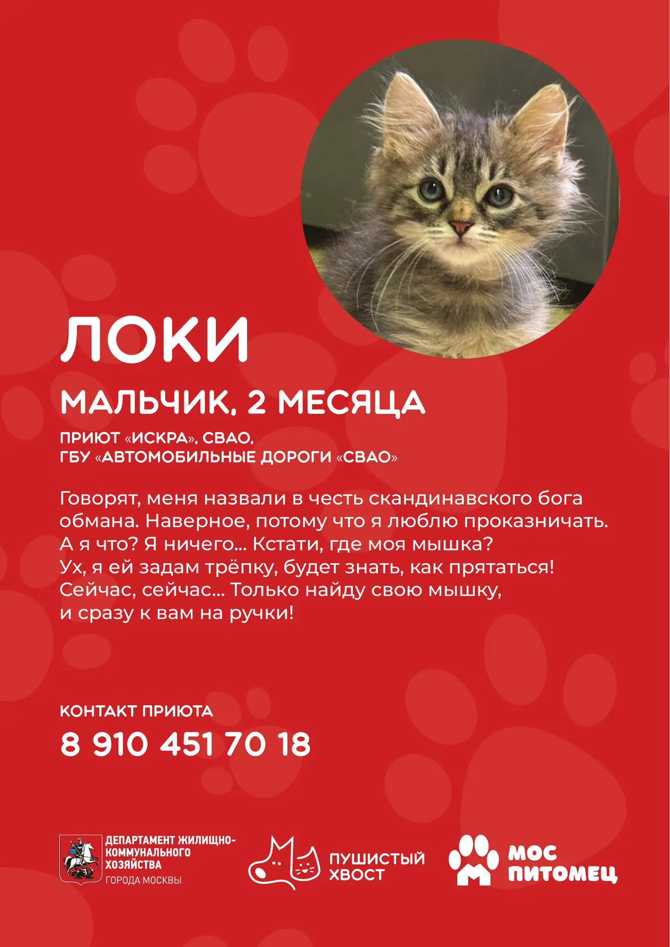 🐾Еще 10 причин заглянуть завтра на мероприятие «Пушистый хвост»