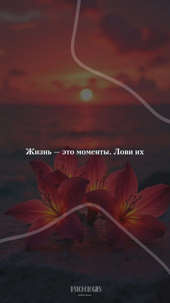Жизнь — это моменты. Лови их.