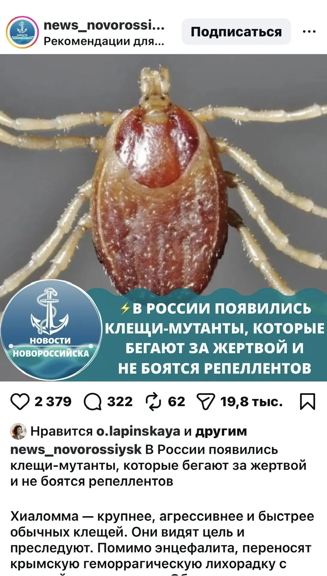Кто еще думает, что рано обрабатываться ? 👆🏻🤪😳🐶