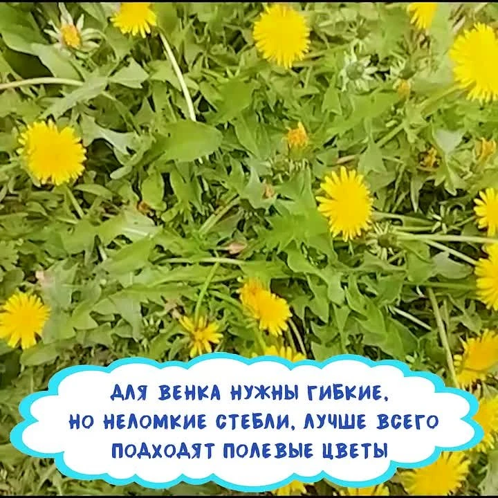 😤 Если солнышко не идёт к нам, мы сами придём к нему и сделаем так, чтобы оно запутало...