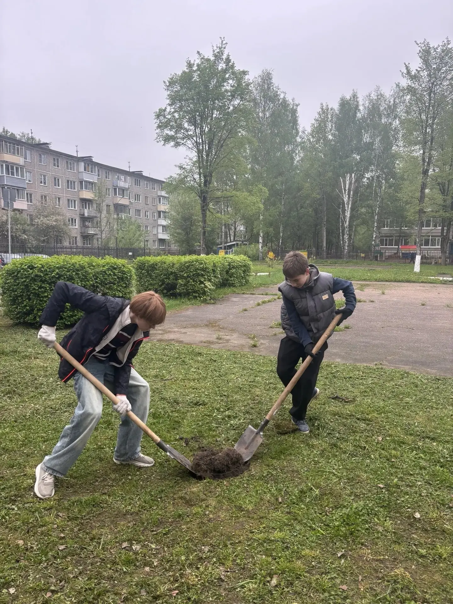 🌱 Зелёная весна в нашей гимназии — не просто слова, а реальные дела! 🌱    Ура! Мы не сидели сложа ру