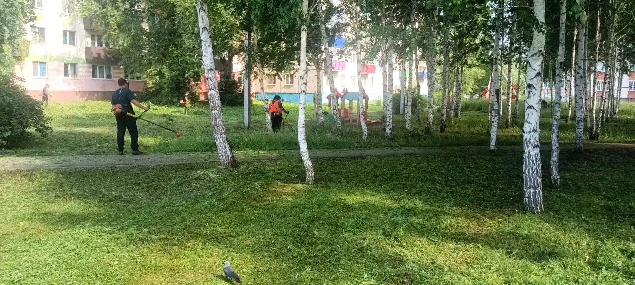 🌿АО «ГУАД» сообщает: сегодня, 17 июня, специалисты предприятия приступают к механизированной и ручн
