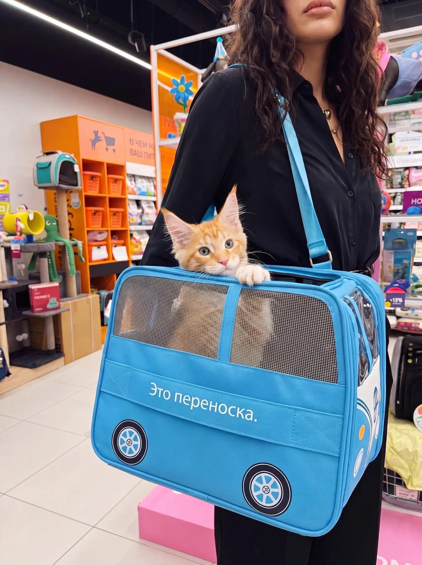 🐈Это электробус переноска.

Мы узнали, что в зоомагазине Четыре Лапы снова проходит акция «Меняться