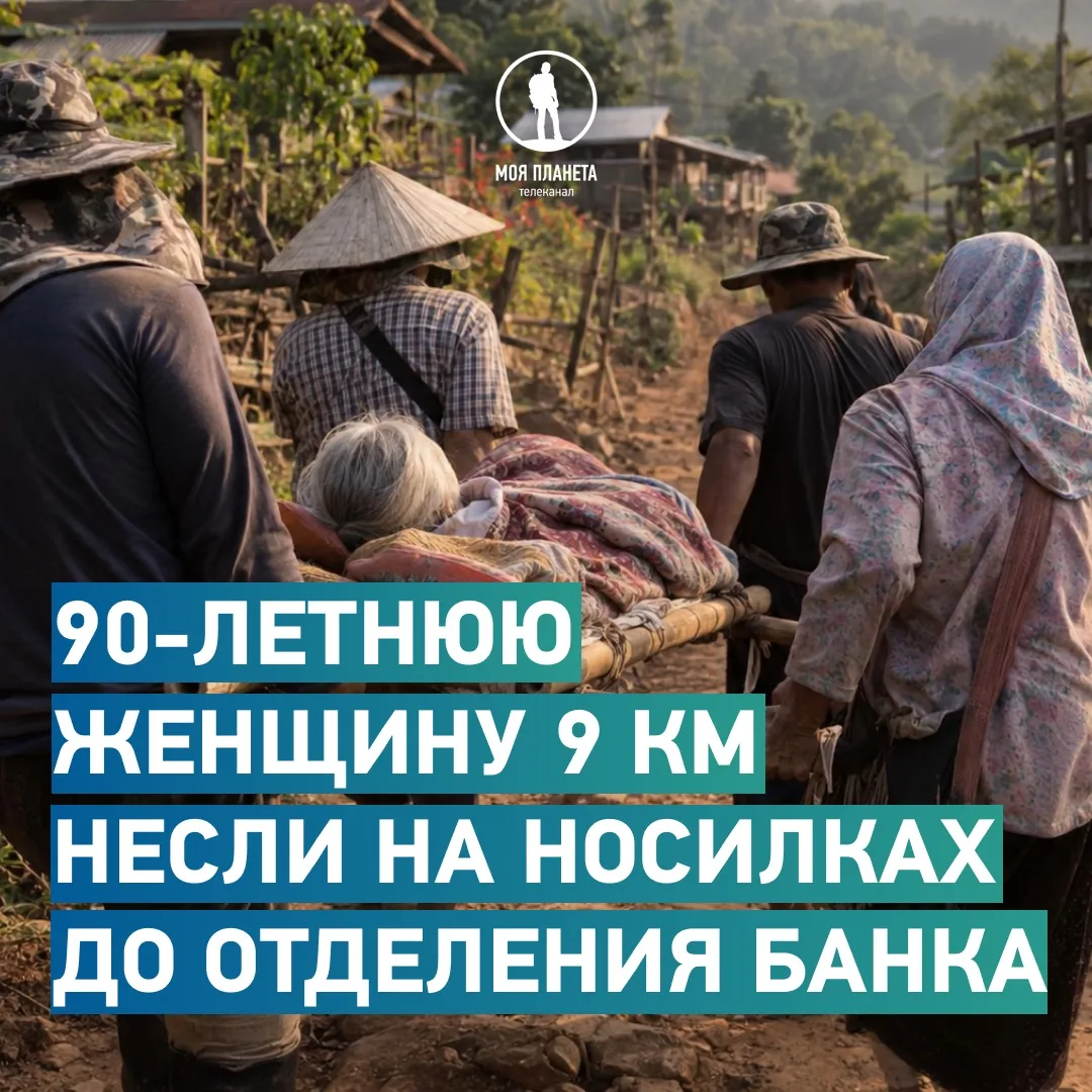 Подборка хороших и добрых новостей этой недели 🗞️