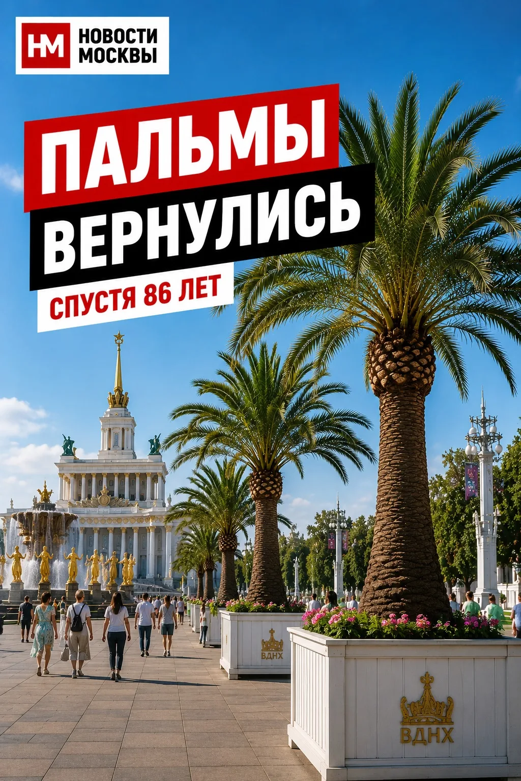 🌴 Пальмы вернулись спустя 86 лет