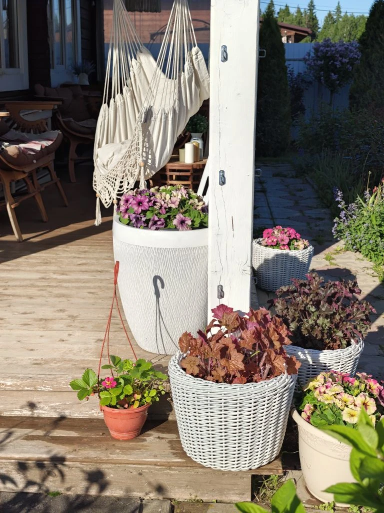 Ну что за петунии у меня в этом году шикарные😍

И главное сами растут такие пышные, прищипывала тол