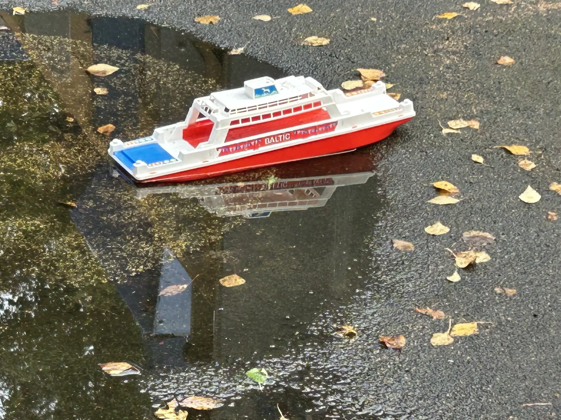Завтра снова дожди и прохладно☔️