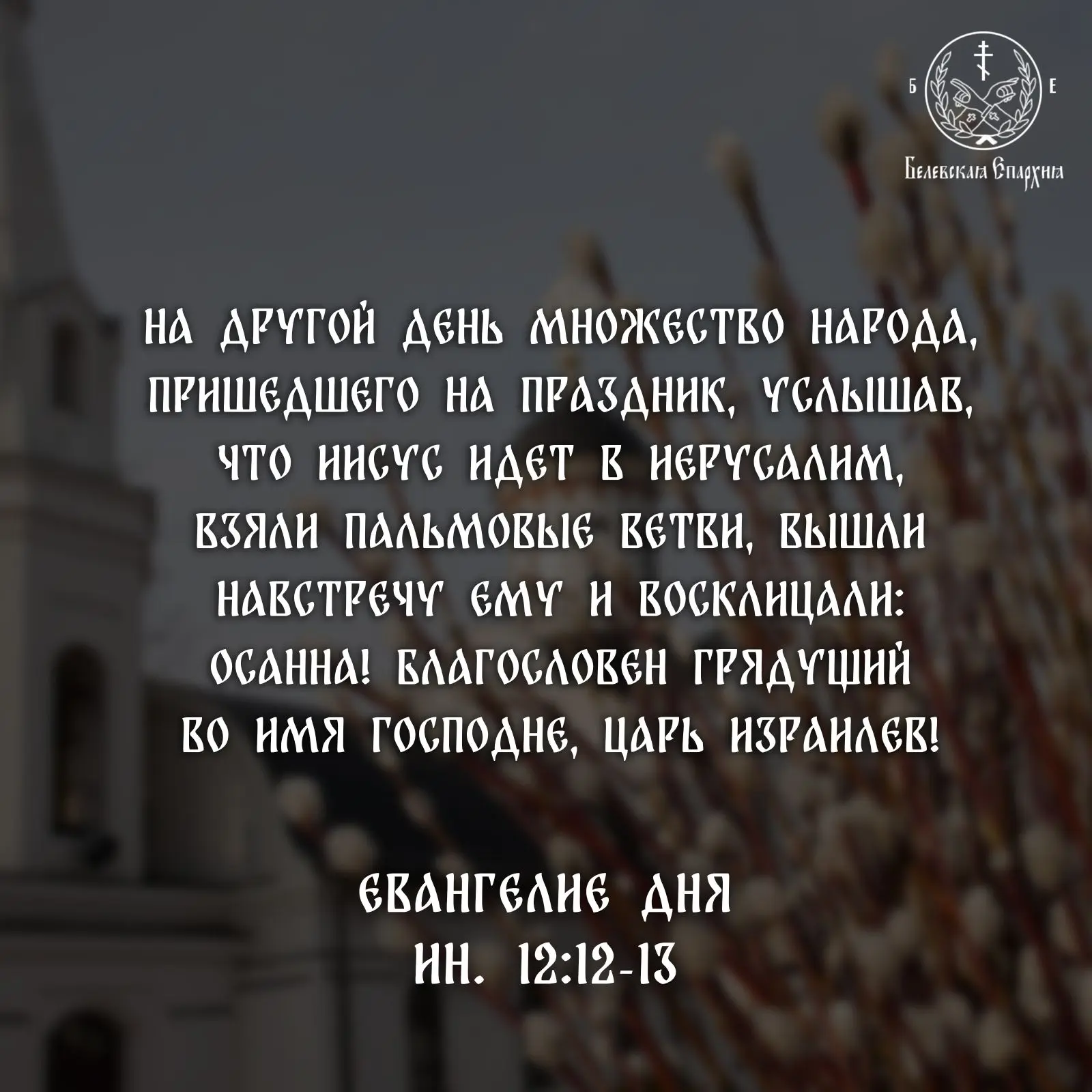 ЕВАНГЕЛИЕ ДНЯ🌿