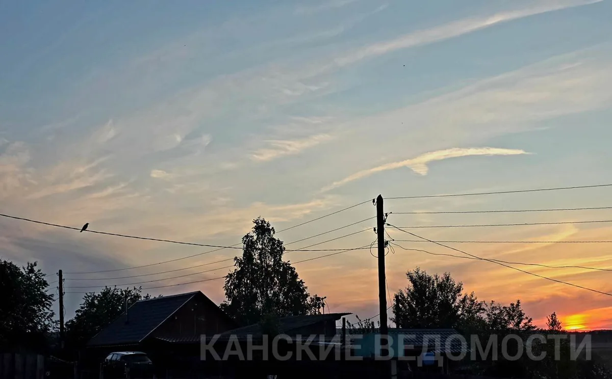 Сколько птиц в кадре?

Доброго вечера, Канский округ!