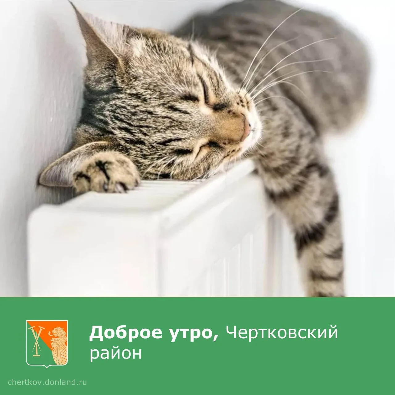 Доброе утро, уважаемые жители Чертковского района!

Пусть заботы и неприятности отступят на дальний 