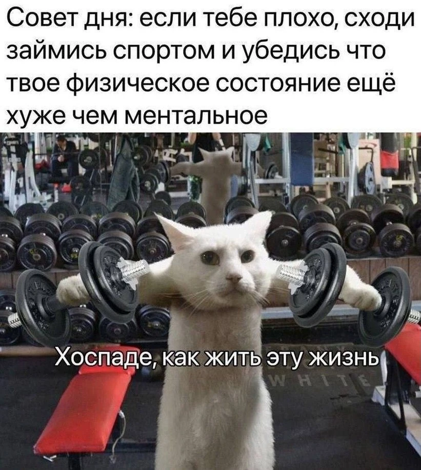 Подпишись на юмор 😂