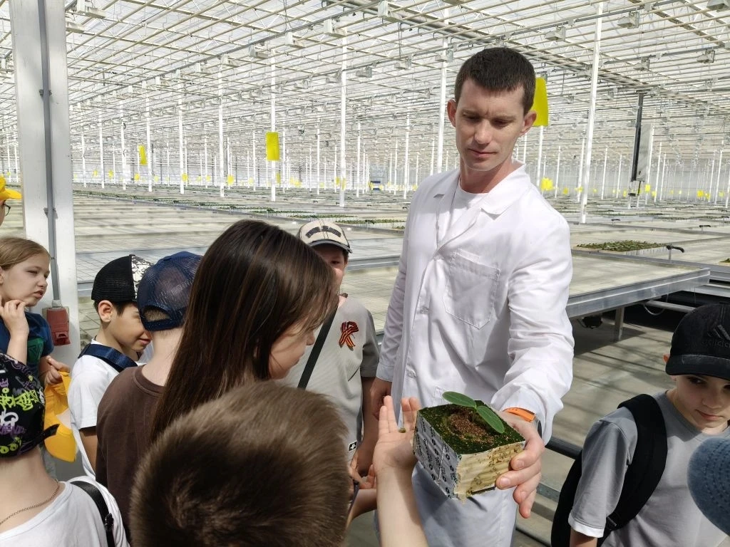 «НейроВитамины» на грядке: салат, огурцы и море открытий! 🥬🥒🍅Небольшой рост – а витаминов вагон!   🚀