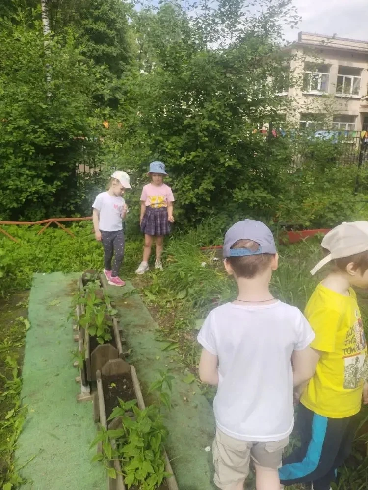 🌿 Наш огород: что выросло и как мы за ним ухаживаем? 🌿