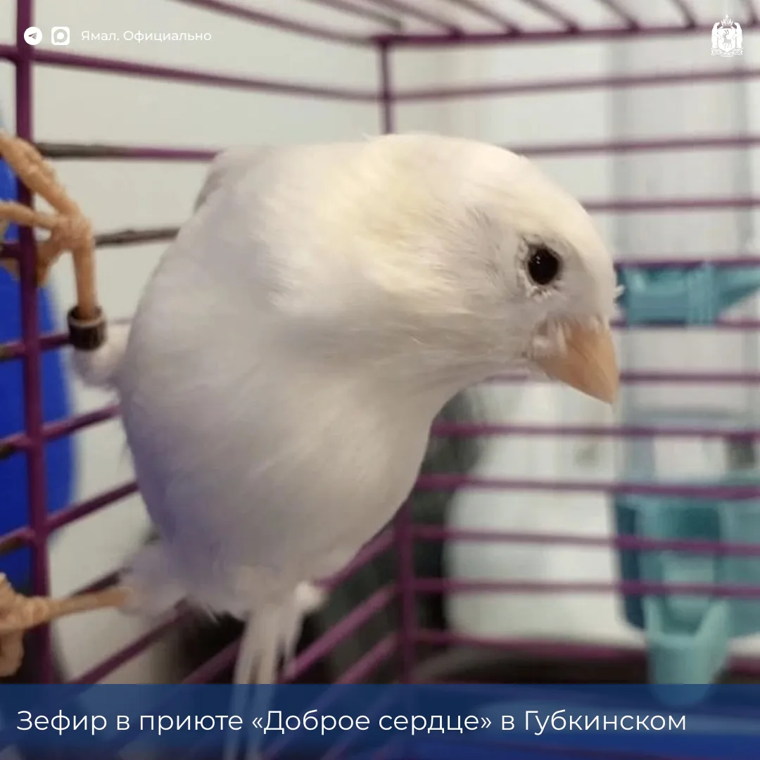 Доска объявлений. Раздел: нашёл друга — 1 ✅