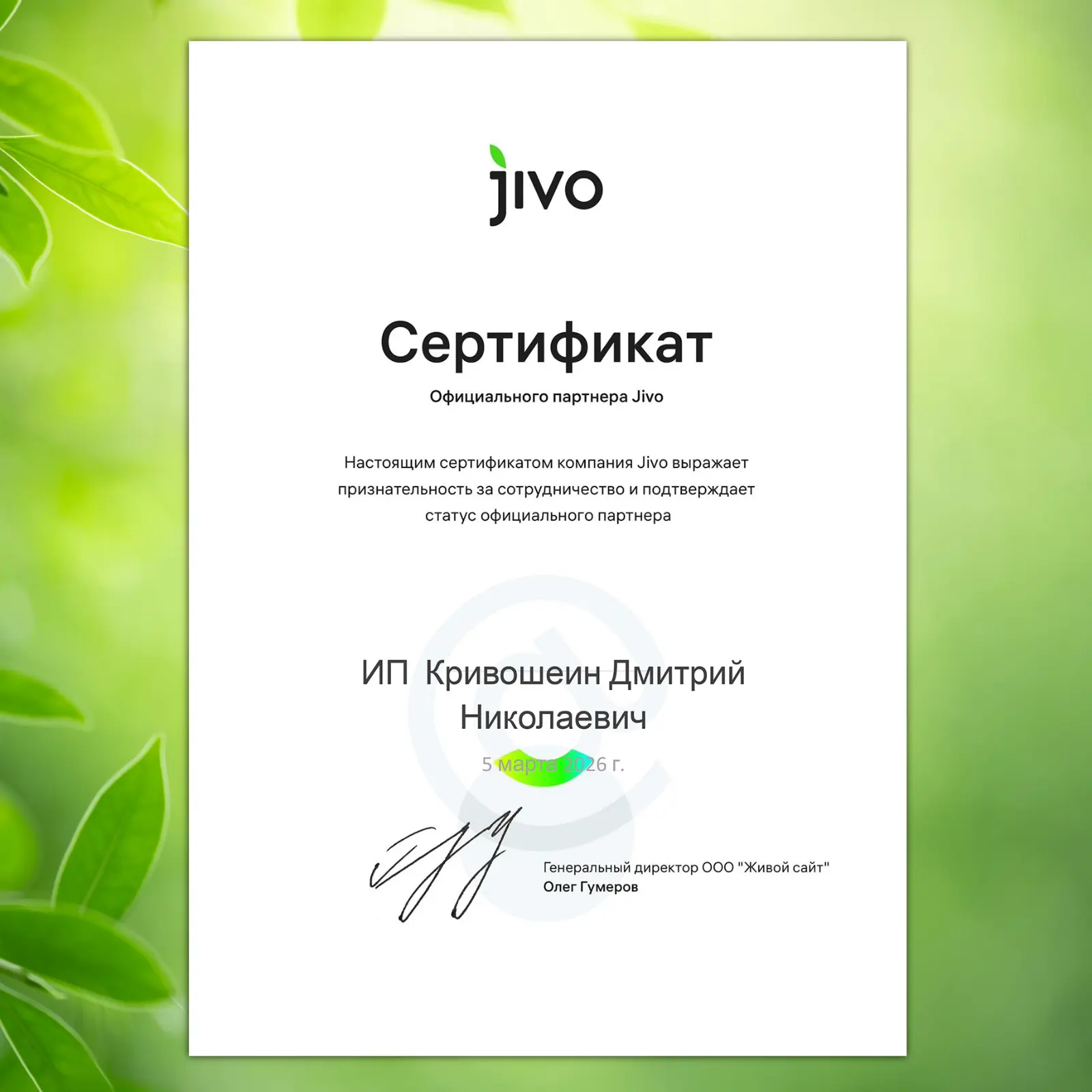 С 5 марта 2026 года ИП Кривошеин Дмитрий Н. — официальный партнёр Jivo!

Настоящим сертификатом комп