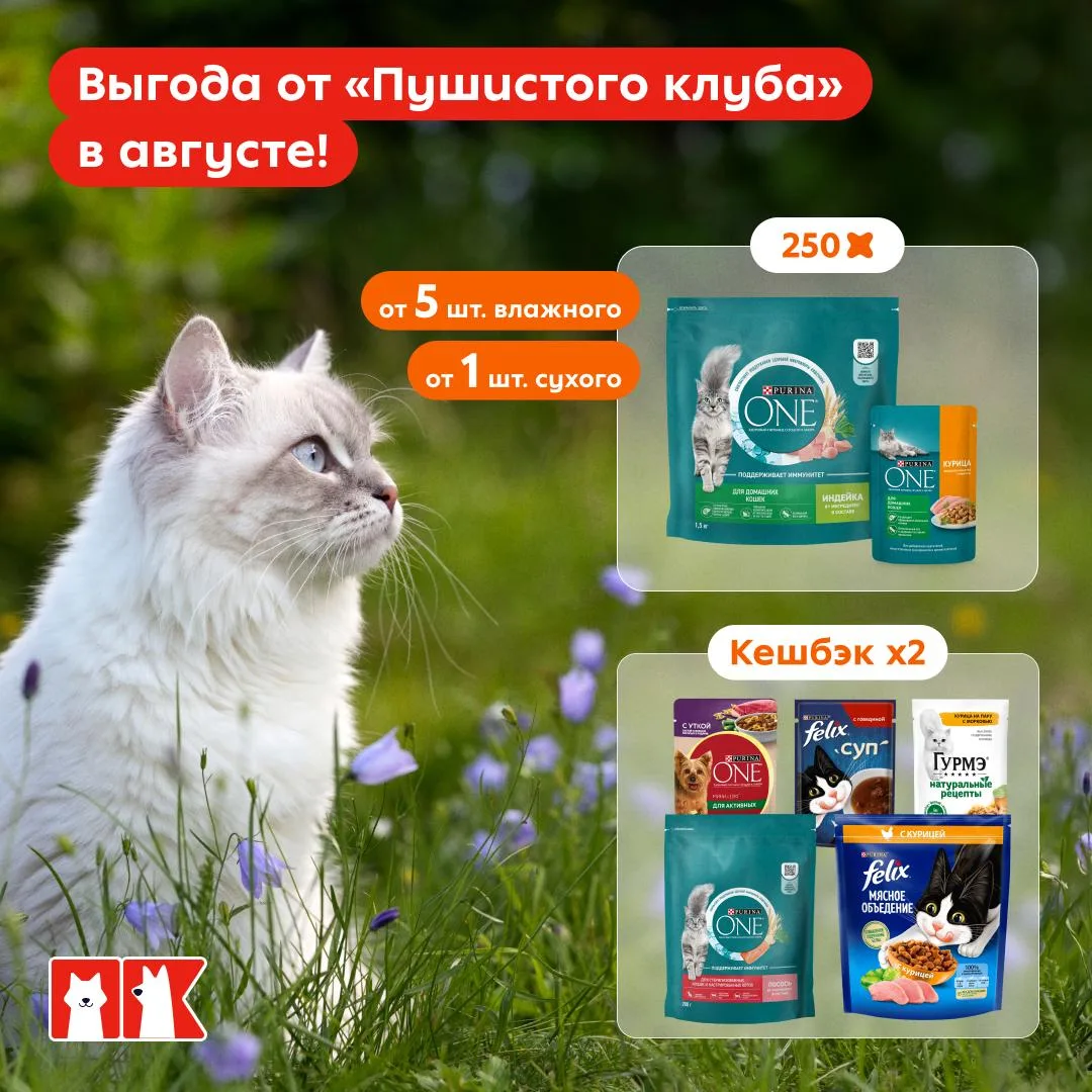 Просто напоминаем, что вообще-то вы живёте дома у своего кота/собачки/хомяка/паука и до...