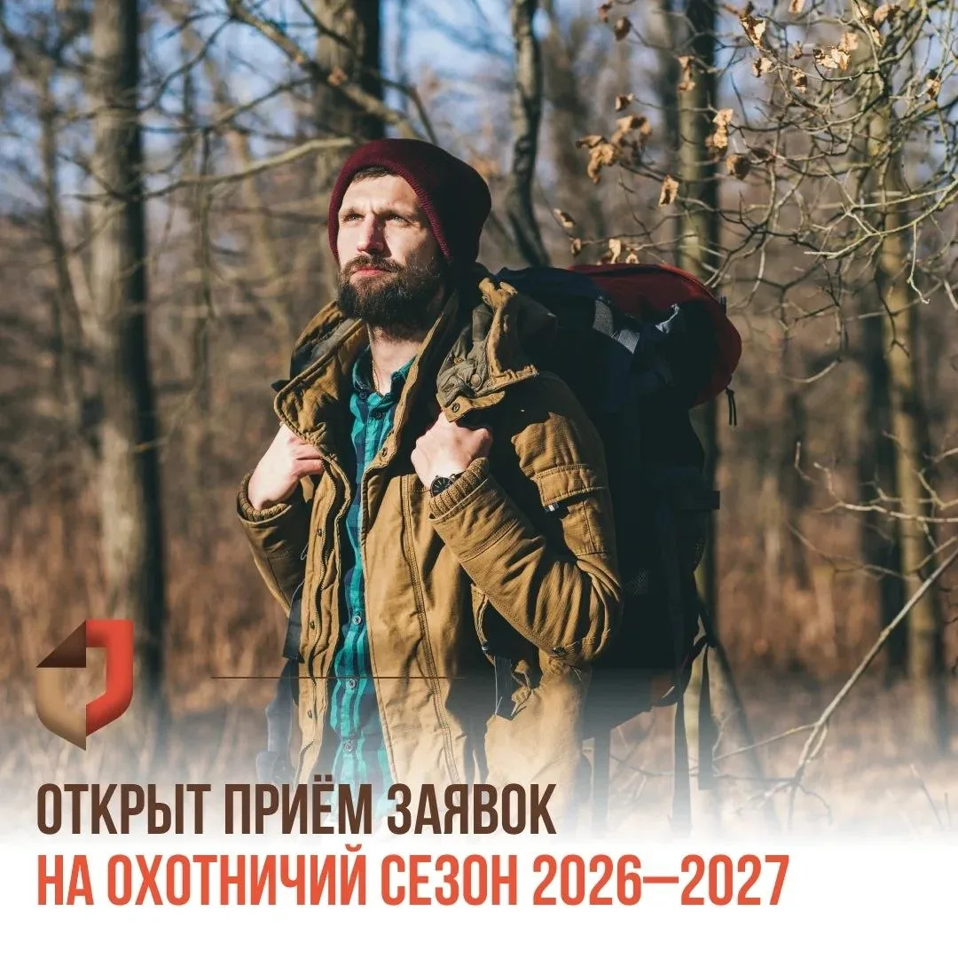 ⚡️С сегодняшнего дня стартует приём заявлений на получение разрешений для добычи охотничьих ресурсов