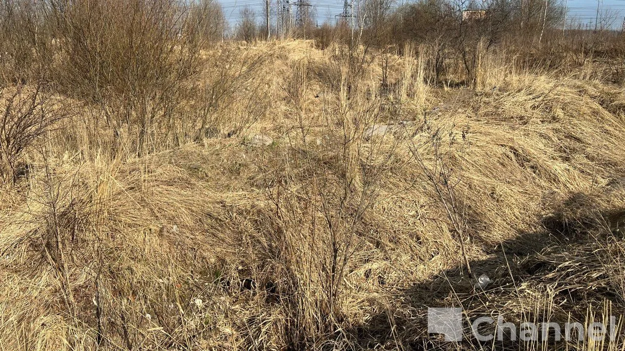 В Кудрово за последние дни несколько раз горели поля. В последний раз пожар заметили минувшей ночью 