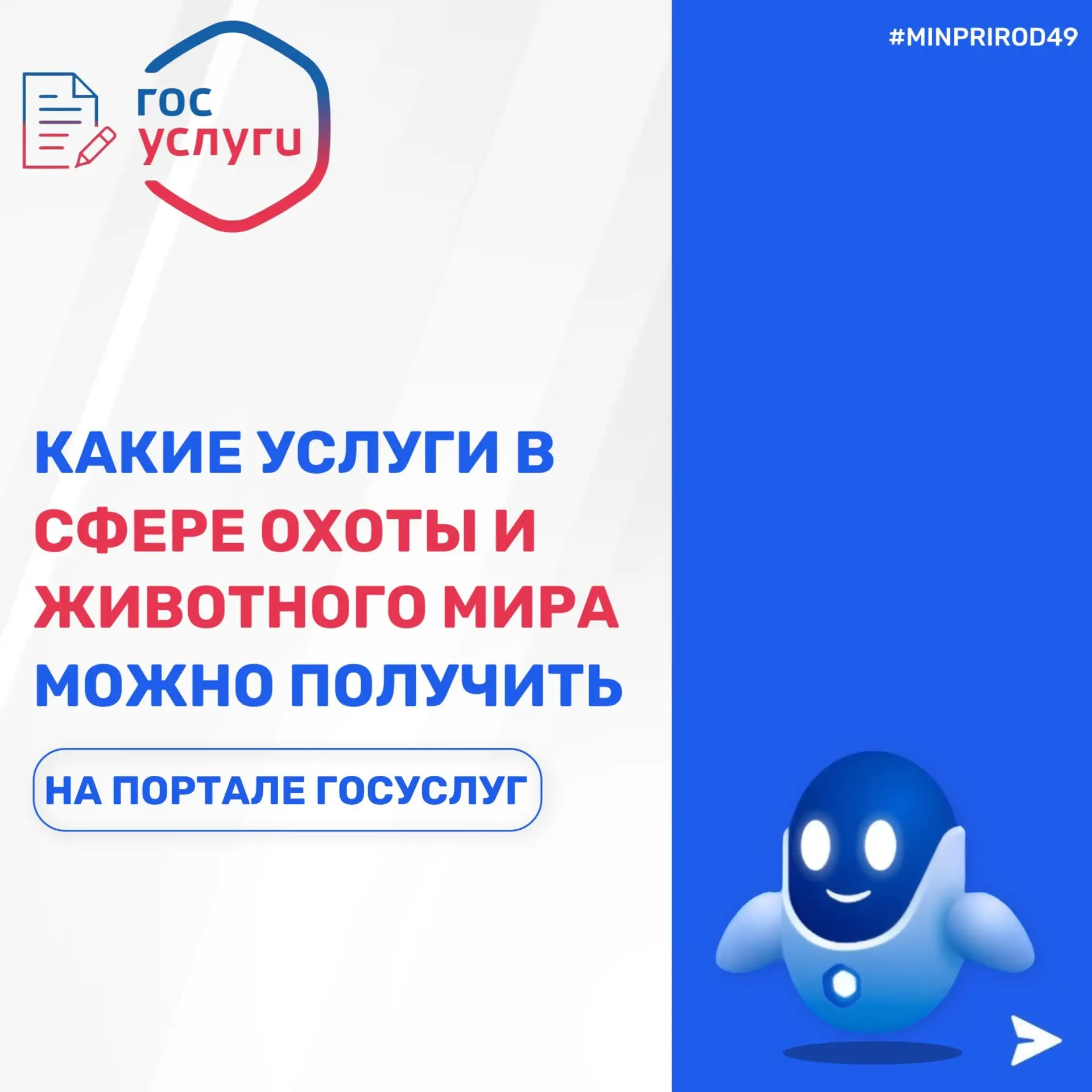 Все ключевые услуги для охотников — онлайн на «Госуслугах»

Среди них:

🔹 Получение и аннулирование