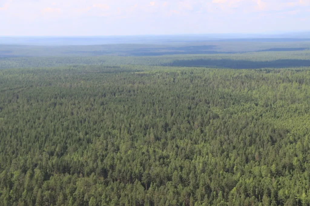 Самолет бесследно исчез в Иркутской области 3 августа
https://orda-info.online/samolet-bessledno-isc