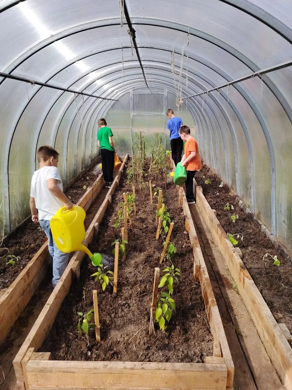 🌱 10-й день в отряде «Юные агрономы»! 🌱

Сегодняшний день получился по-настоящему насыщенным и про