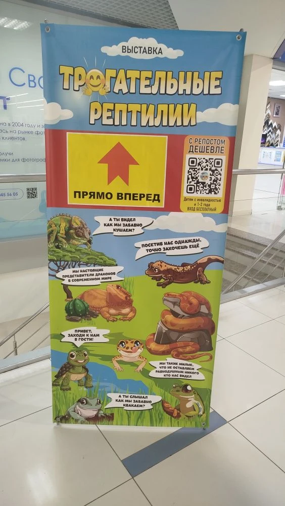Контактная выставка рептилий и амфибий
