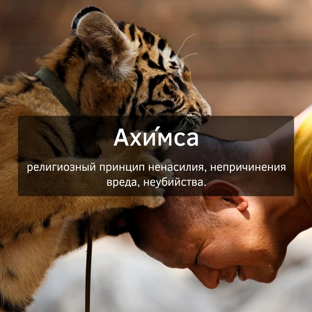 Изображение 1 к публикации «Словарный запас»