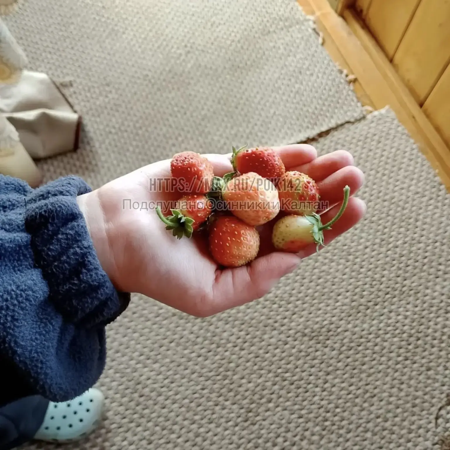 🍓 Наши читатели делятся своим октябрьским урожаем:
