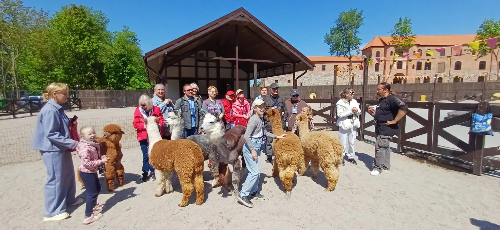 🦙🦙🦙 В зоопарке … вслепую