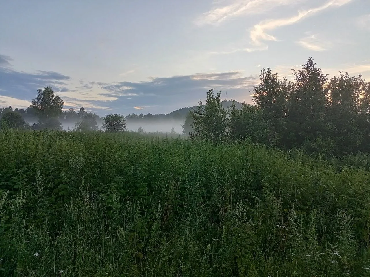 Доброе утро, Новокузнецк! ☀ 
 
Сегодня последний день июля. Но грустить рано — впереди выходные. 
 
