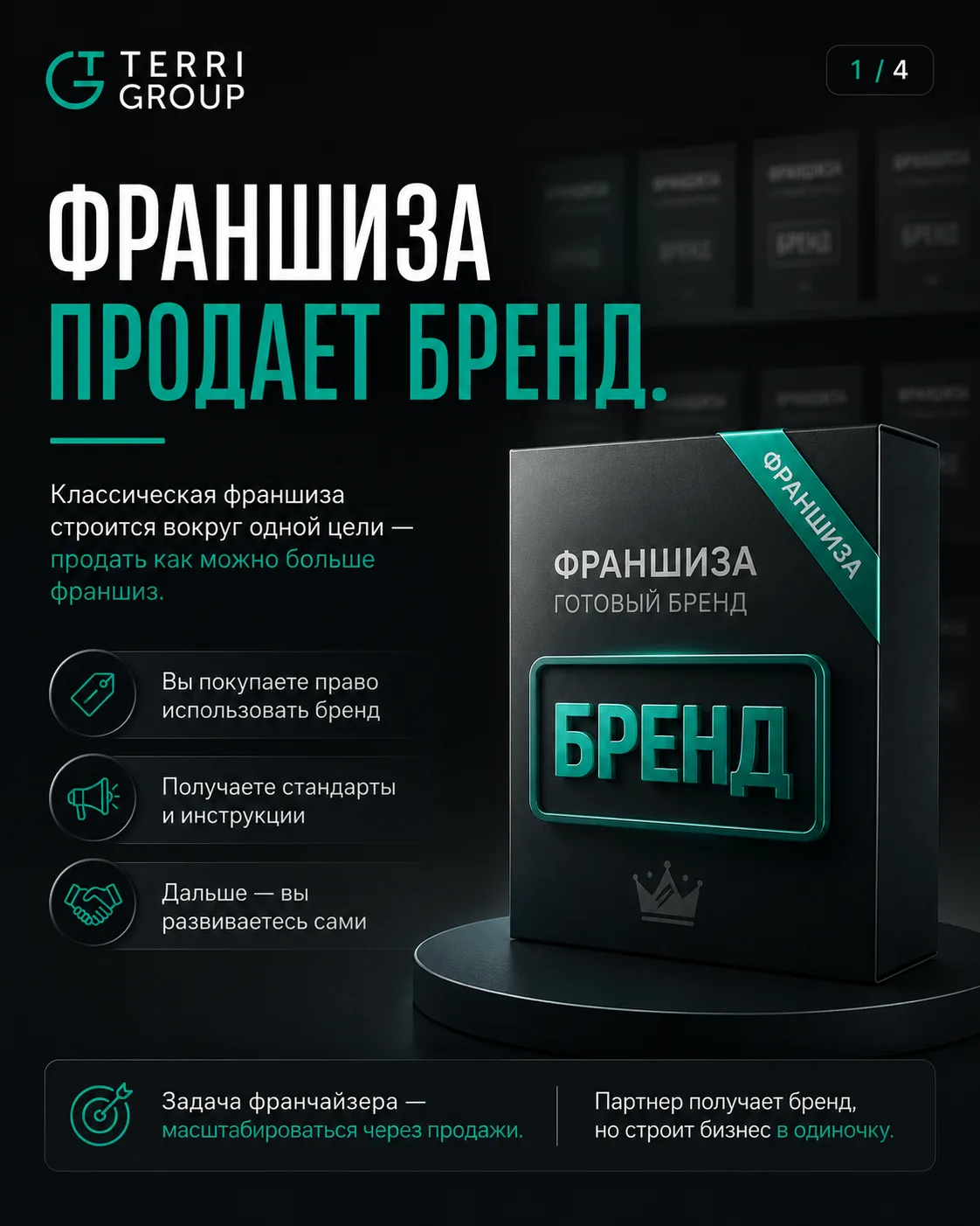 Почему TERRI GROUP сложно сравнивать с обычной франшизой?